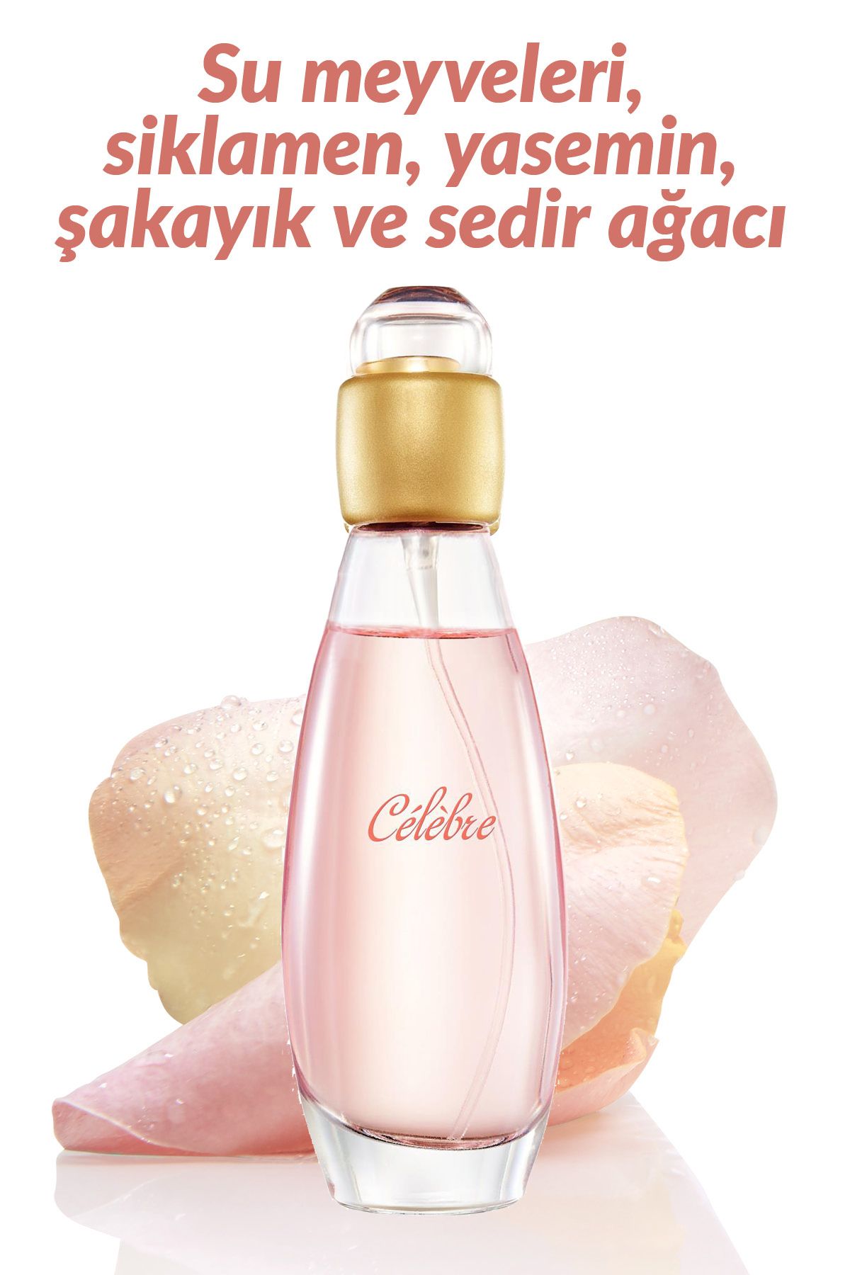 Celebre%20Kadın%20Parfüm%20Edt%2050%20Ml.