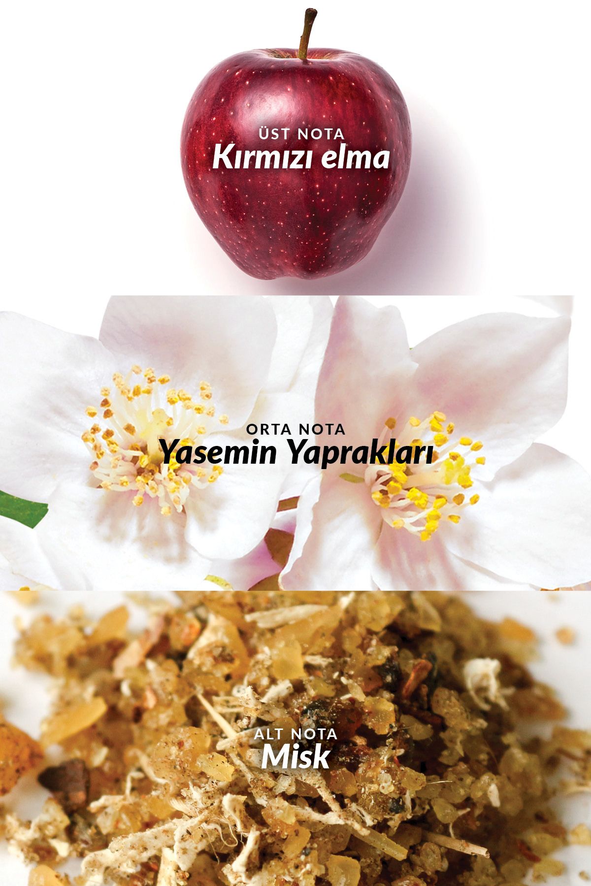 Eve%20Prive%20Kadın%20Parfüm%20Edp%2050%20Ml.