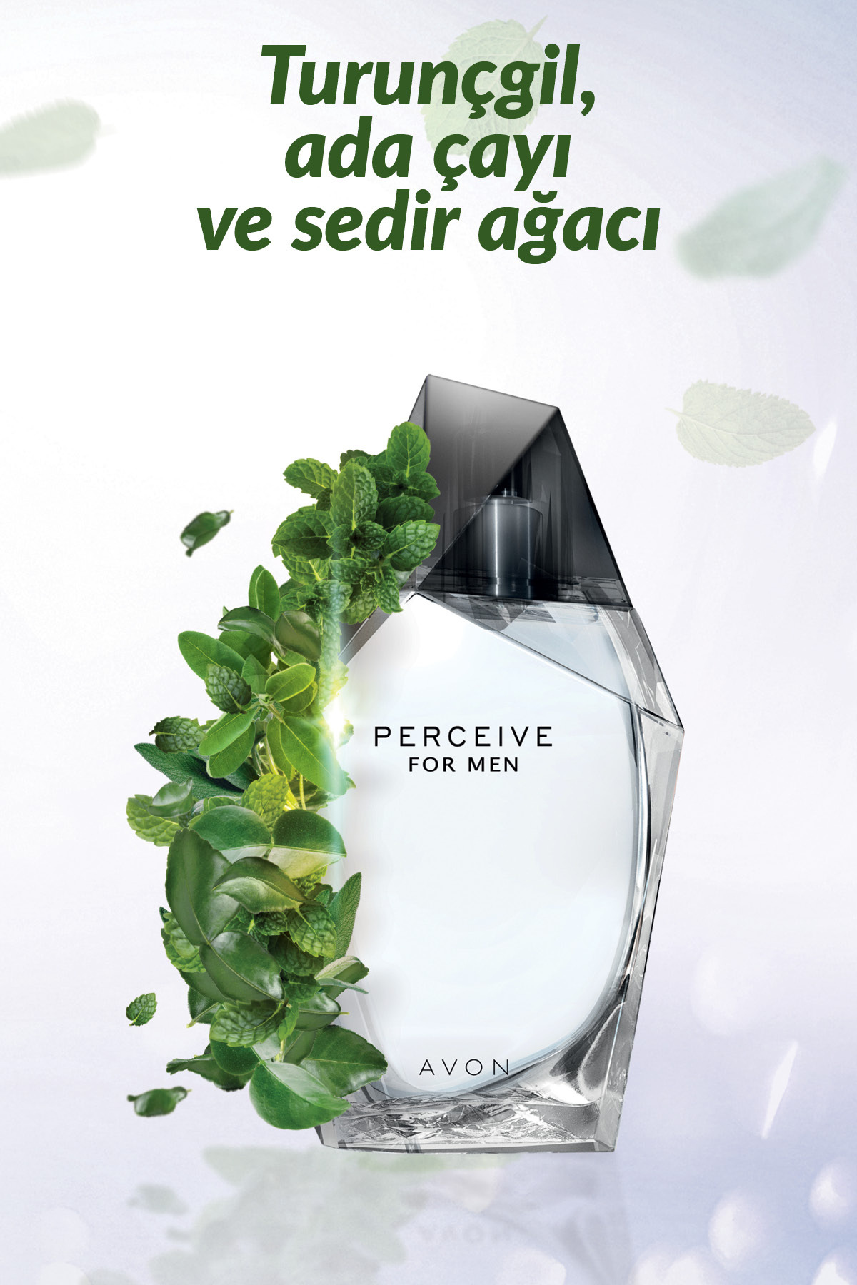 Perceive%20Erkek%20Parfüm%20Edt%20100%20Ml.